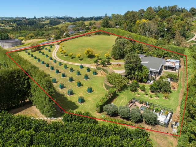 84 Plummer Road Whakamarama_1