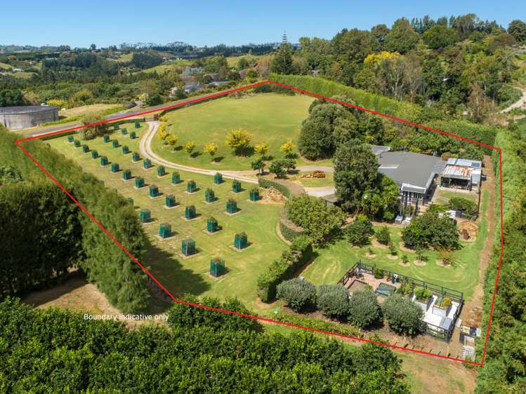 84 Plummer Road Whakamarama_1