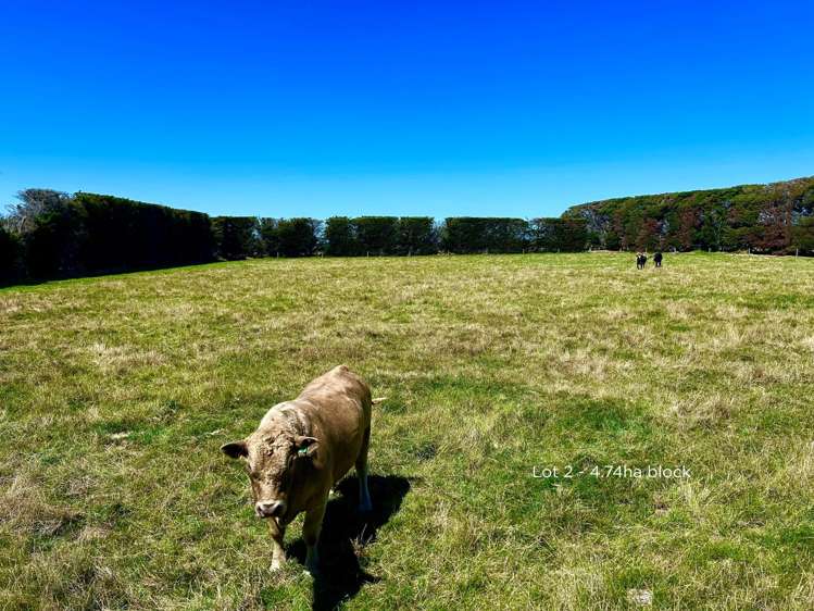 170 Seabridge Road Motukarara_12