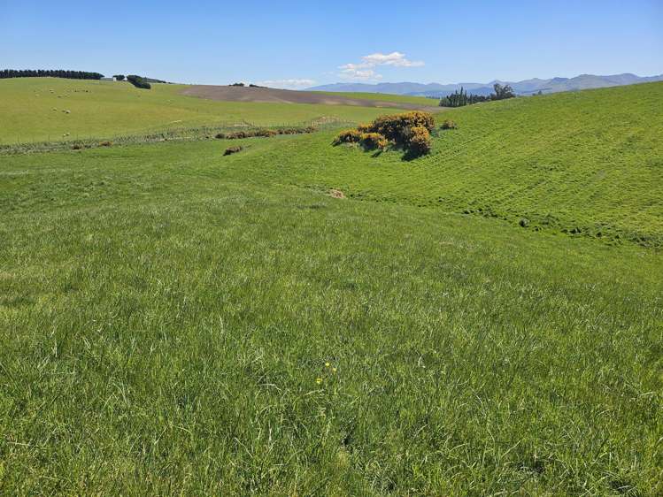 116 Burraness Street_4