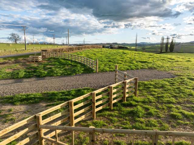 - Puketutu Road Matamata_4