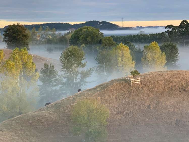 86 Sowerby Heights Hunua_22