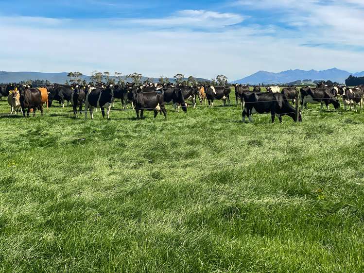 445 Aparima Road Otautau_25