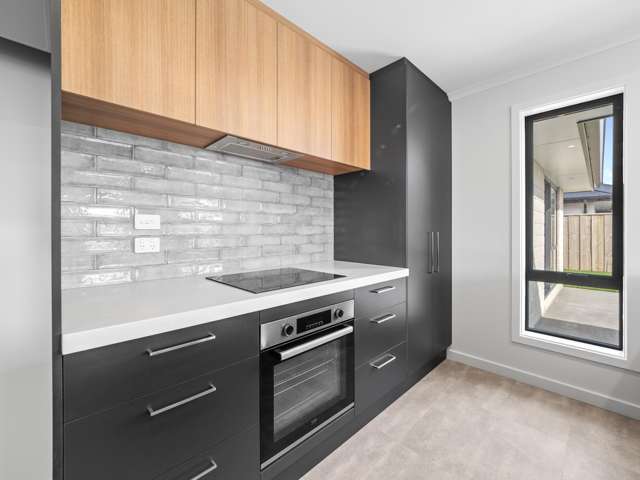 48 Ashbury Drive Tinwald_3