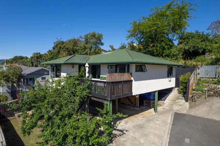 10d Piko Street Toi Toi_1