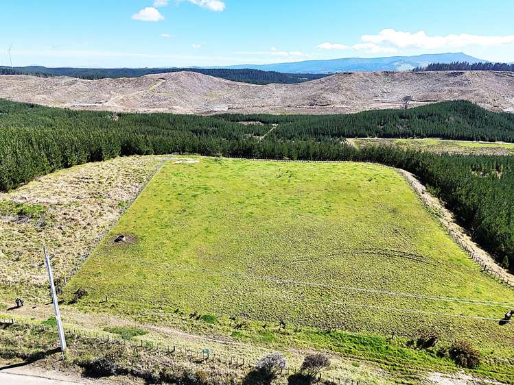 Lot 3 Babylon Coast Road_5