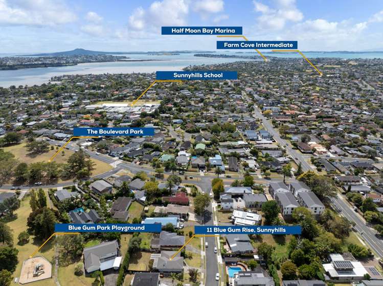 11 Blue Gum Rise Sunnyhills_5