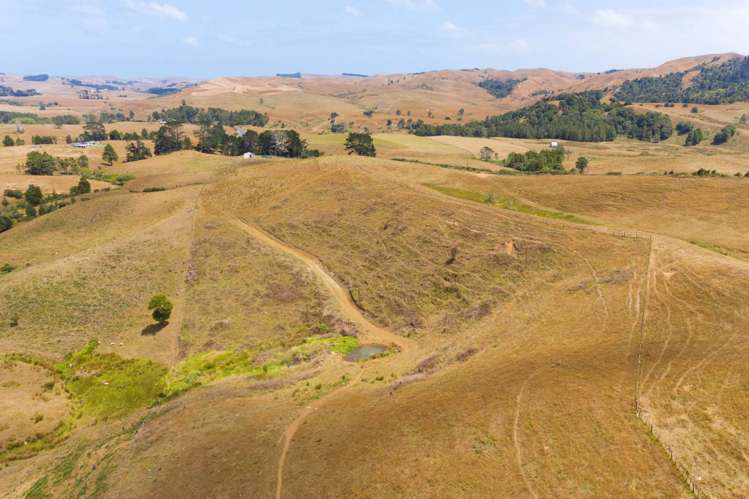 1149 Waikaretu Valley Road Waikaretu_13