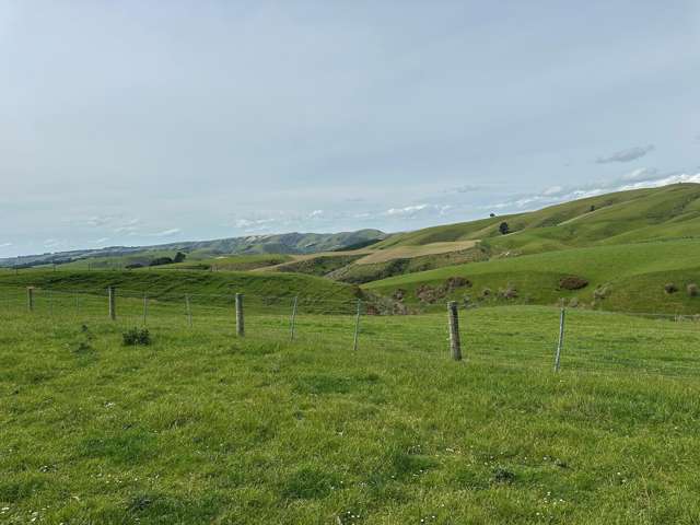 2230 Tapanui Raes Junction Highway Clutha_2