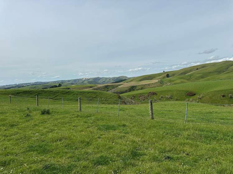 2230 Tapanui Raes Junction Highway Clutha_2