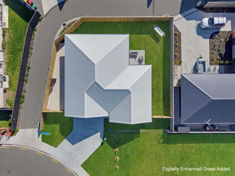 37 Henshaw Street Ravenswood_25