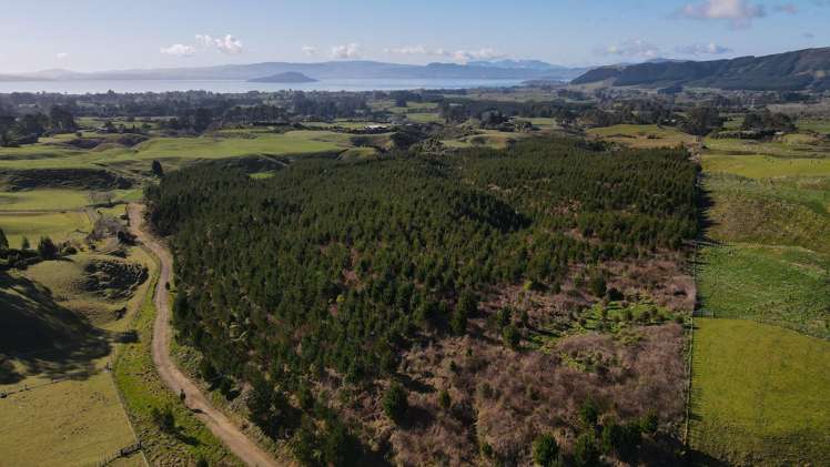 414C Dalbeth Road Hamurana_15