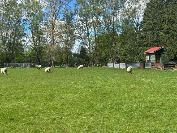 112 Pasture Street Lumsden_53