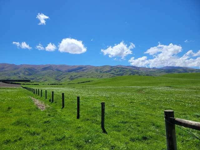 Wallington Road Omakau_3