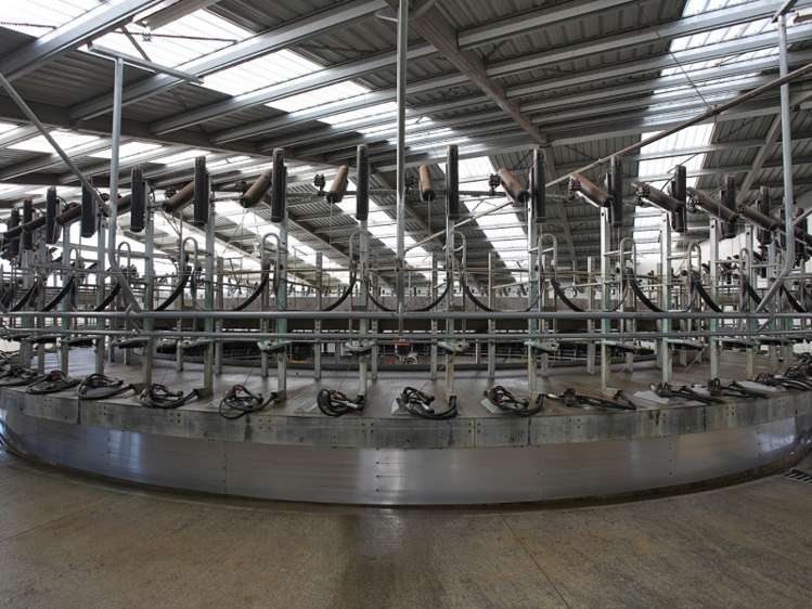 380 Matheson Road Catlins Surrounds_10