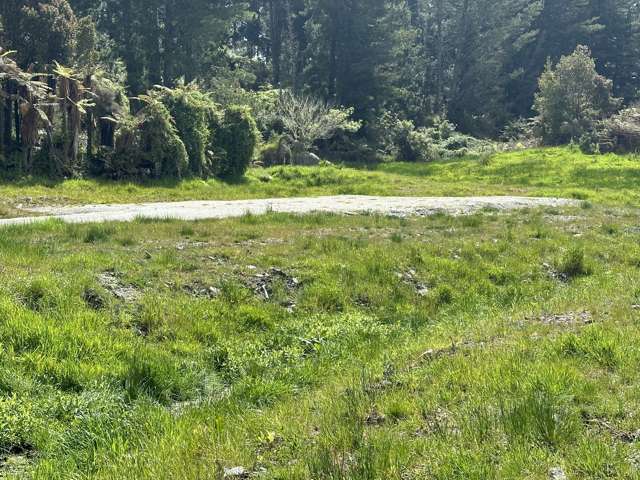 46 Seddons Terrace Road Rimu_1
