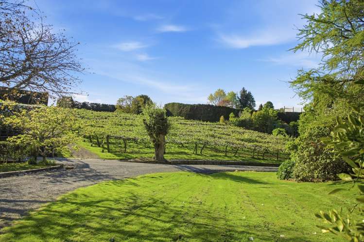 672 No 1 Road Te Puke_32