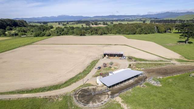 162 Hamua Hukanui Road Eketahuna_4