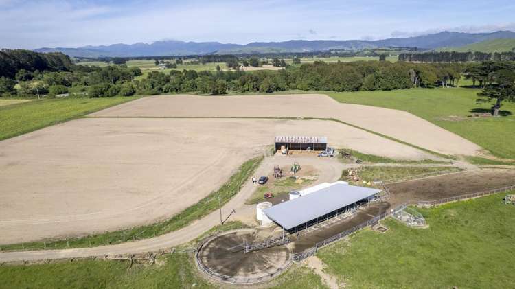 162 Hamua Hukanui Road Eketahuna_4