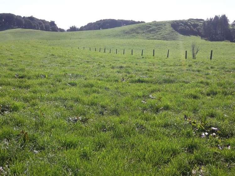 346 Rugby Road Tariki_62