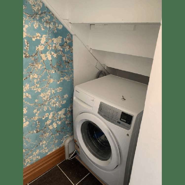 5 Devon Street Aro Valley_12