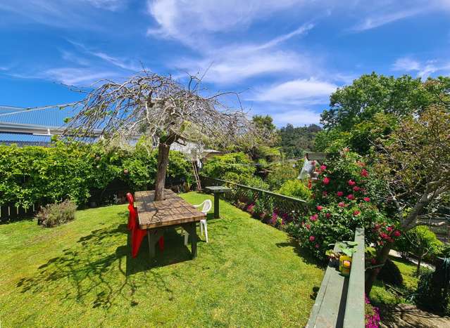 1225 Rings Road Coromandel_2