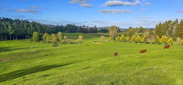 94 Oturoa Road Hamurana_3