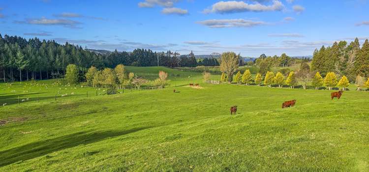 94 Oturoa Road Hamurana_3