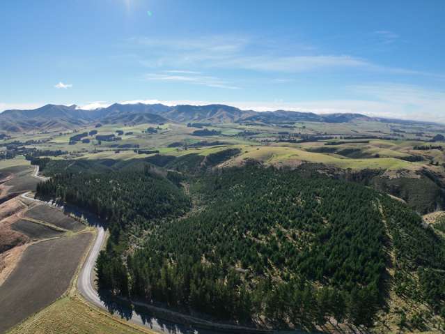 East Otago Forestry Block