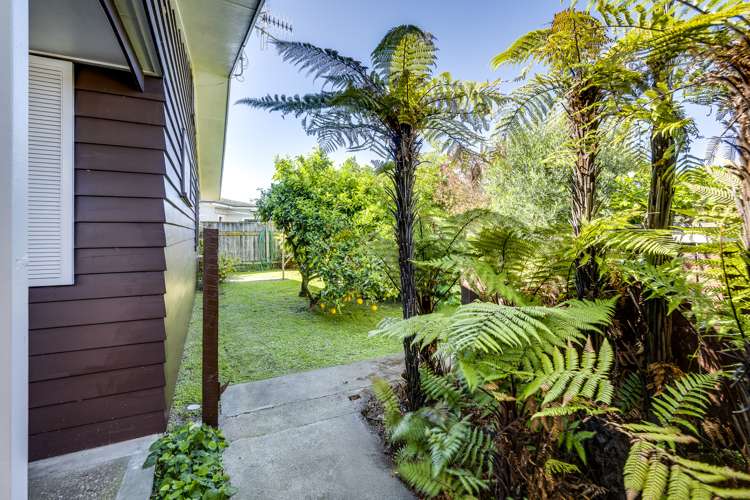 10 Mckenzie Avenue Marewa_22