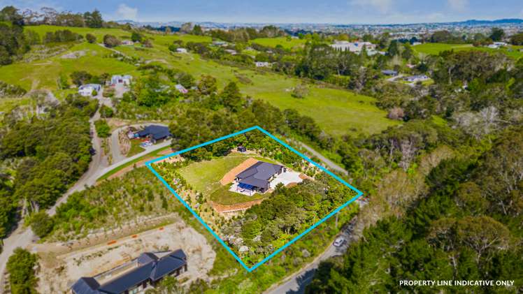 224 Birdwood Road Massey_23