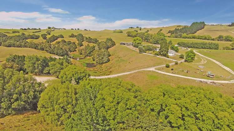 119 Worker Road Wellsford_0