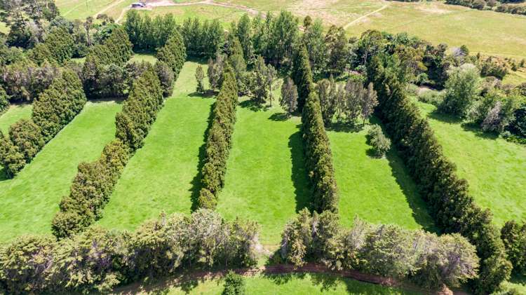 605 Takahue Road Takahue_32