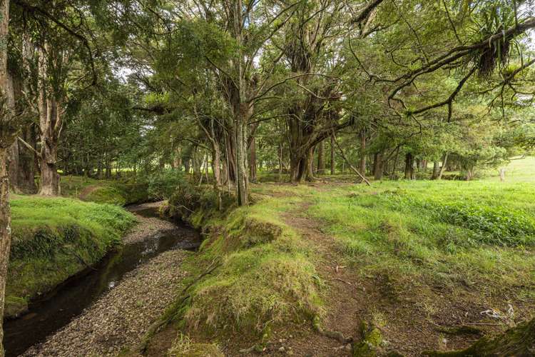 453 Pigs Head Road Hukerenui and Surrounds_1
