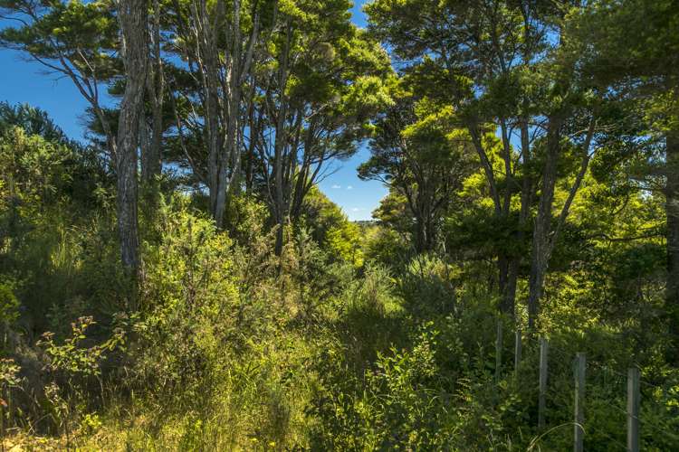 159 Hillcrest Road Hatfields Beach_7