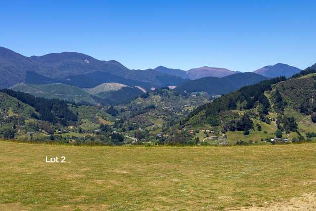 Cable Bay Road Hira_1