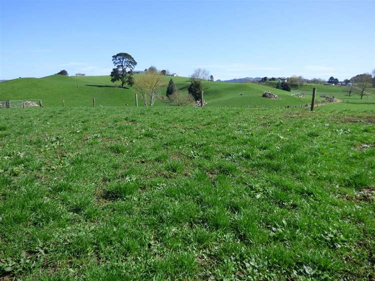 336 Grove Road Te Pahu_11