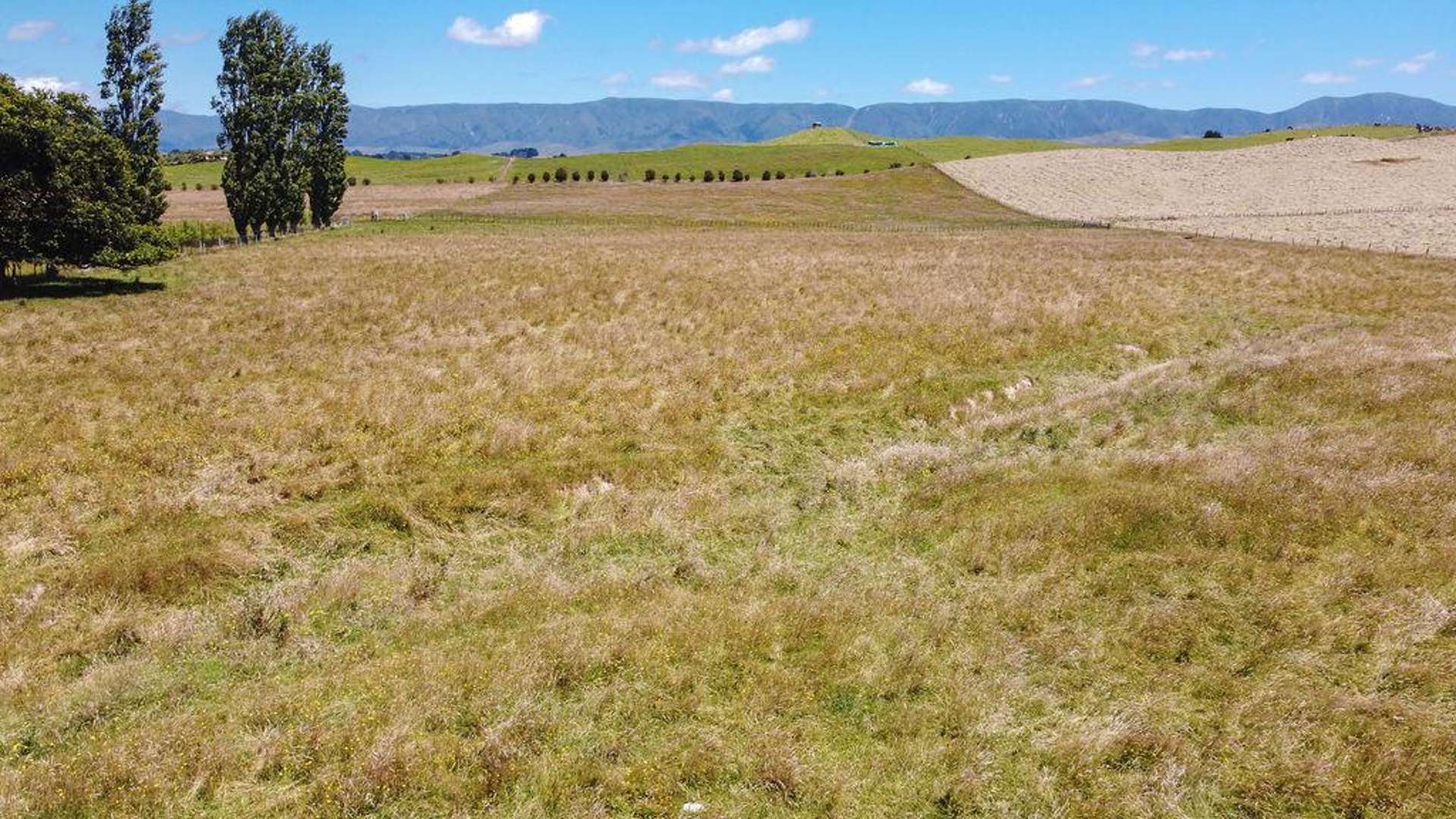 36 Piripiri Road Dannevirke_0