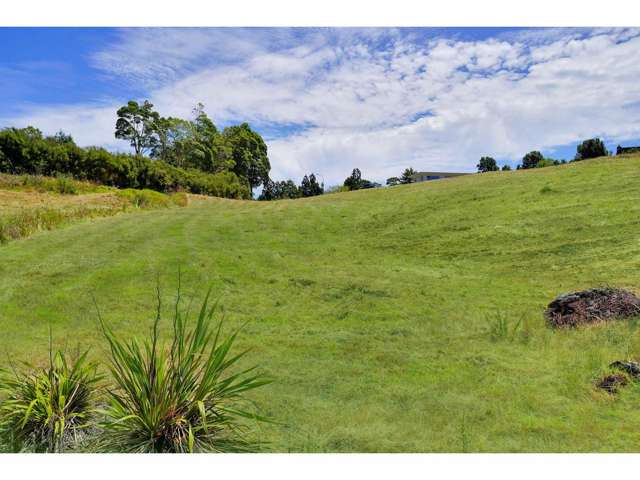 Lot 8/11 Lensvelt Lane Kerikeri_2