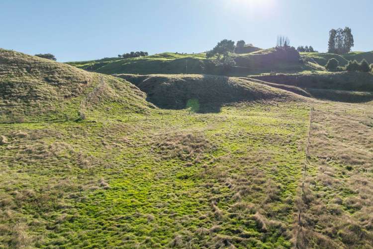 Proposed Lot 2, 67 Hitiri Road Kinloch_8