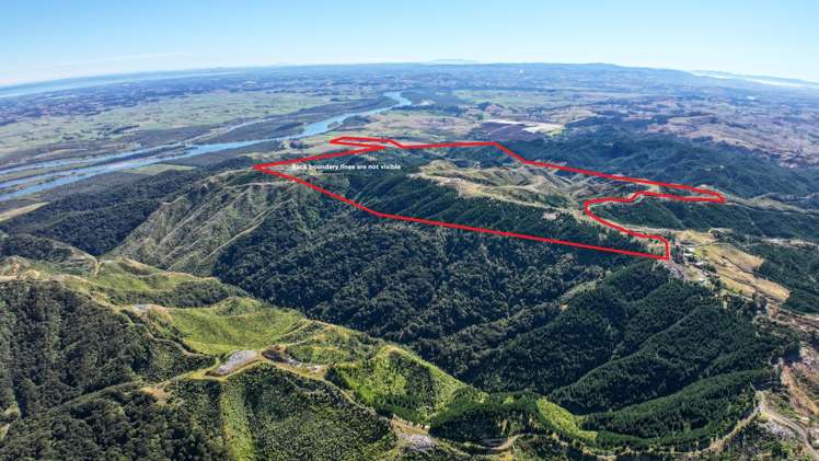 1036 Klondyke Road Port Waikato_5