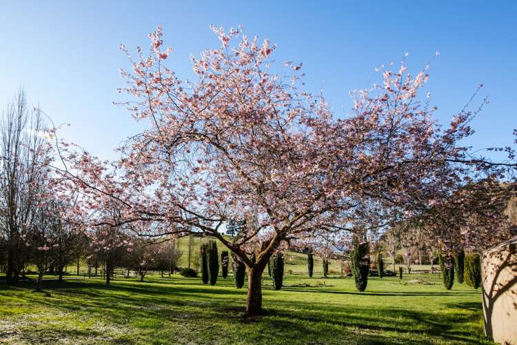 599 Mount Barker Road Wanaka_20