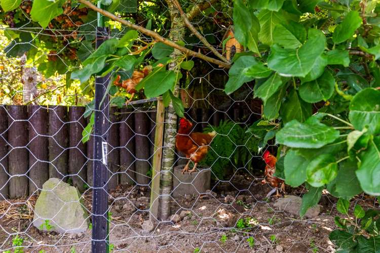 126 Douglas Street Whakatane_17