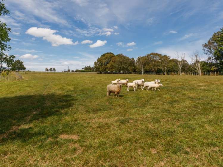 1005 Taonui Road Feilding_23