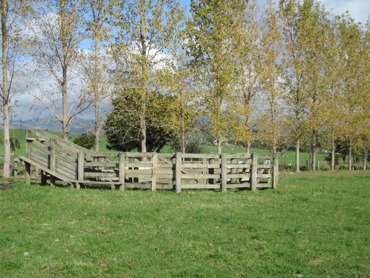 130 Carruth Road Poroti_4