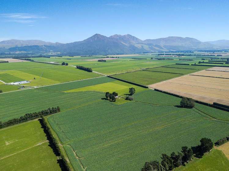 1710 Ealing Montalto Road Ashburton_29