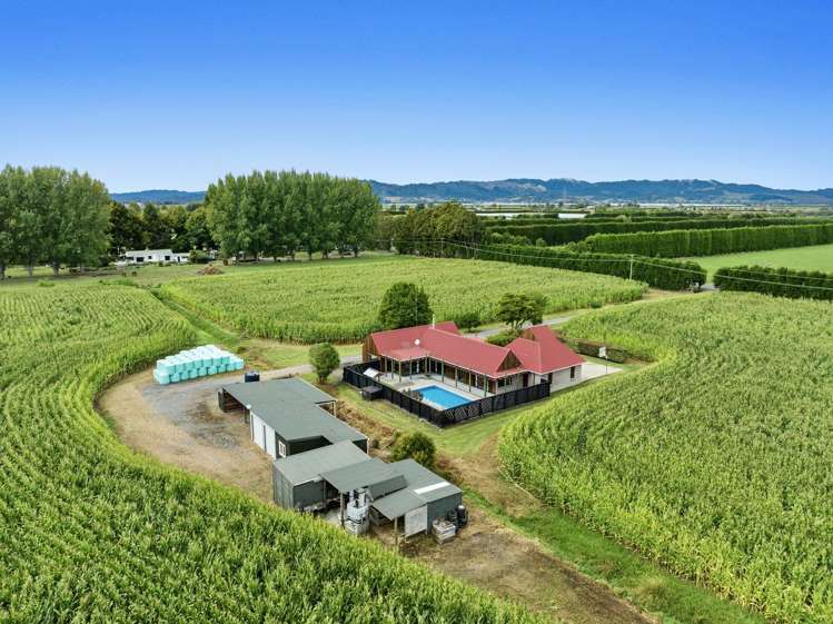 164 Otakiri Road Edgecumbe_30