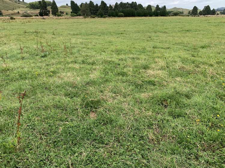 30 Heao Road Pohokura and Surrounds_9