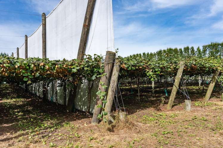 865B Oropi Road Oropi_15