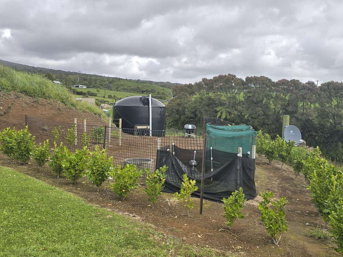 637 Upper Pitone Road_5
